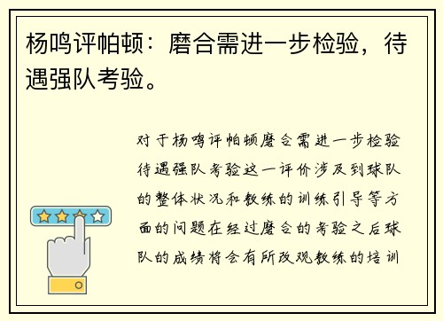 杨鸣评帕顿：磨合需进一步检验，待遇强队考验。